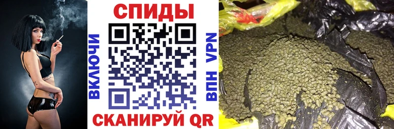 Бутират буратино  Кохма 
