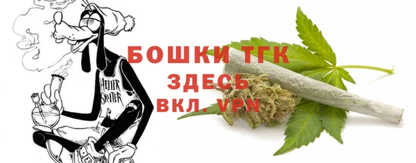 экстази Пересвет