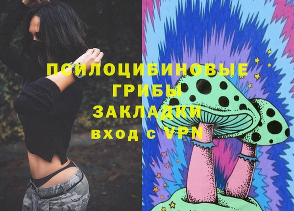 ECSTASY Пестово